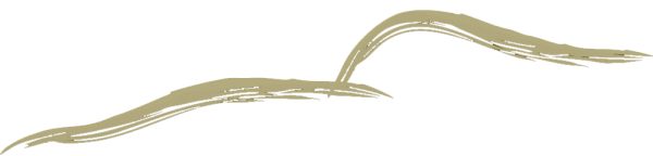curve